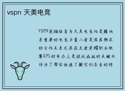 vspn 天美电竞